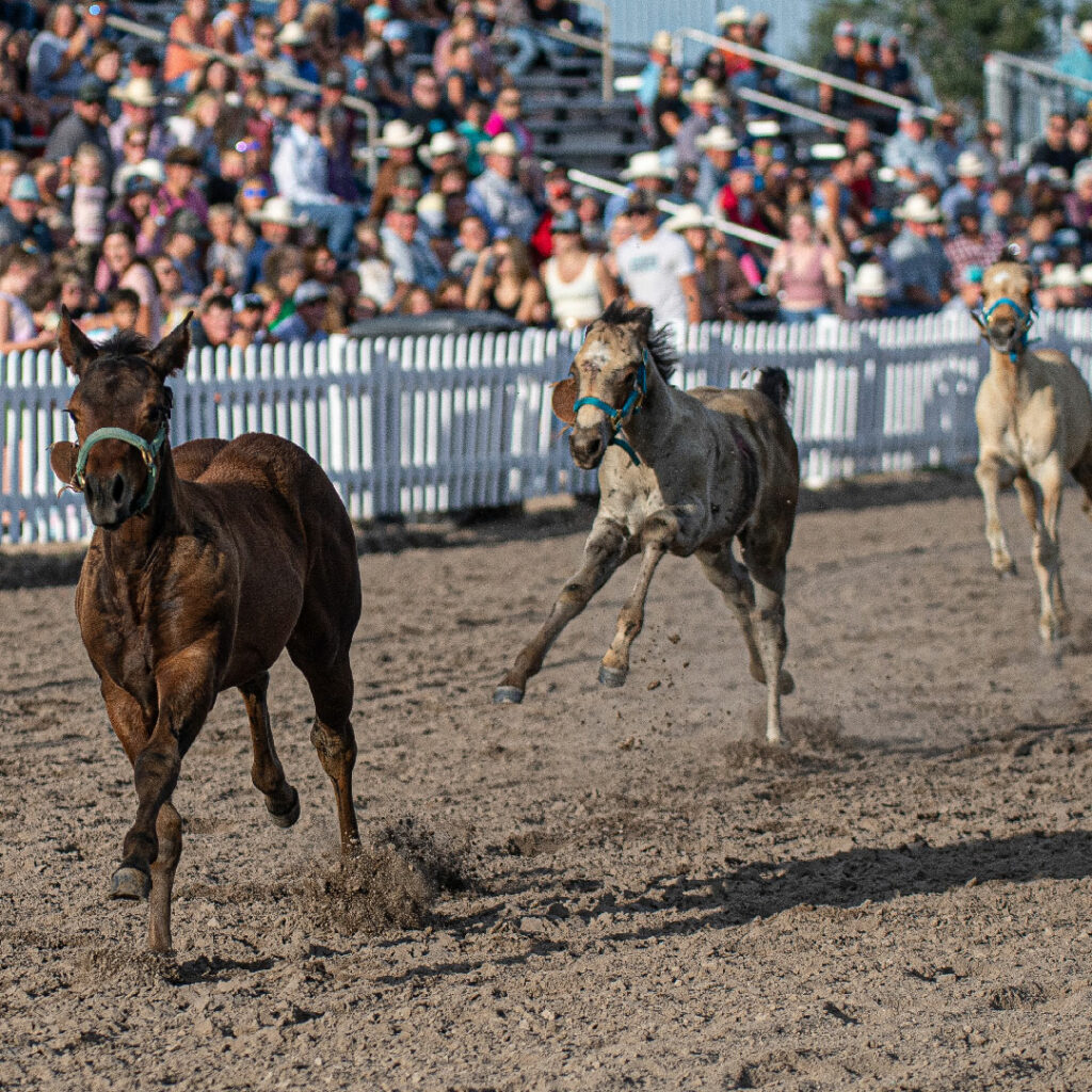 Schedule of Events Nebraska's Big Rodeo